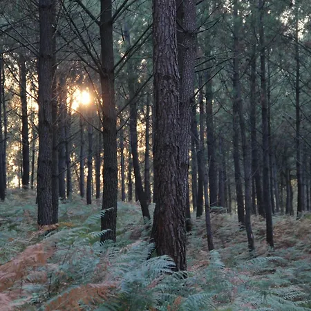 Kindahouse Seignosse